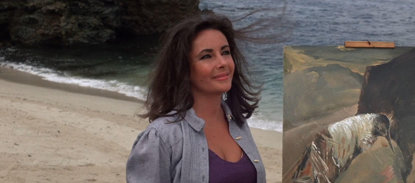 دانلود فیلم The Sandpiper 1965