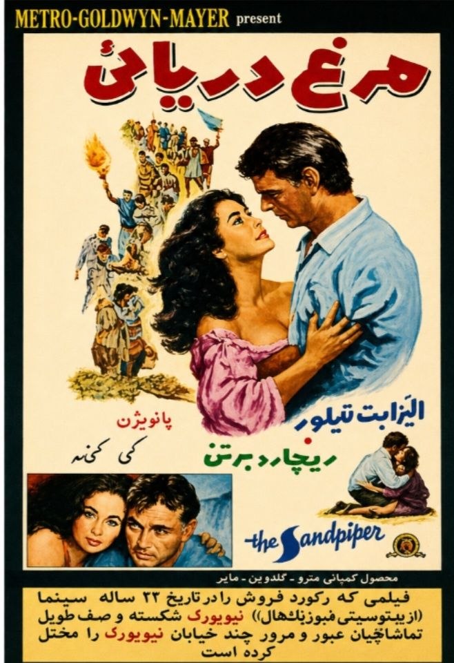 دانلود فیلم The Sandpiper 1965