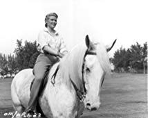 Jo Morrow