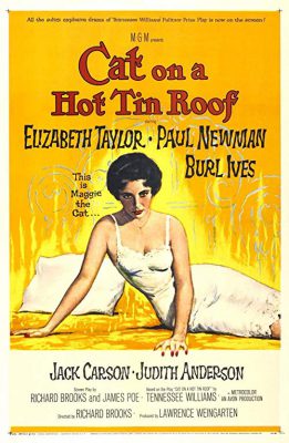 دانلود دوبله فارسی فیلم Cat on a Hot Tin Roof 1958