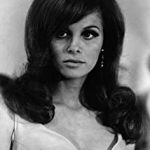 Lynn Loring